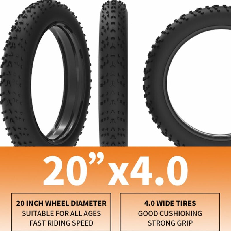 20-In Adult Unisex E-Bike