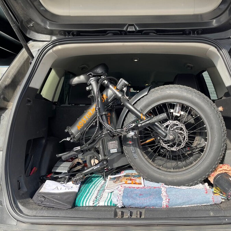 20-In Adult Unisex E-Bike