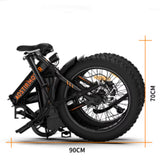 20-In Adult Unisex E-Bike
