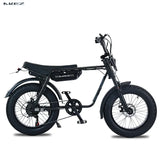 Akez-Electric Motorcycle Bike with 2 Seats 20*4.0 Fat Tire Off-Road Ebikes 1500W 48V 18AH 20 in 2023 Electric Bicycle New Fatbik
