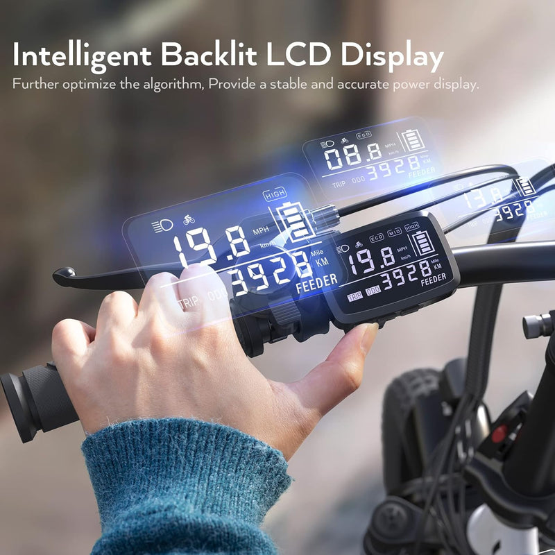 Vivi Gopina Electric Bike, 16" X 3.0 Fat Tire Electric Bike, Peak 500W Step Thru Electric Bicycle, 48V Removable Battery, up to 40 Miles, LCD Display, 20Mph, 7 Speed, SGS Certified to UL2849