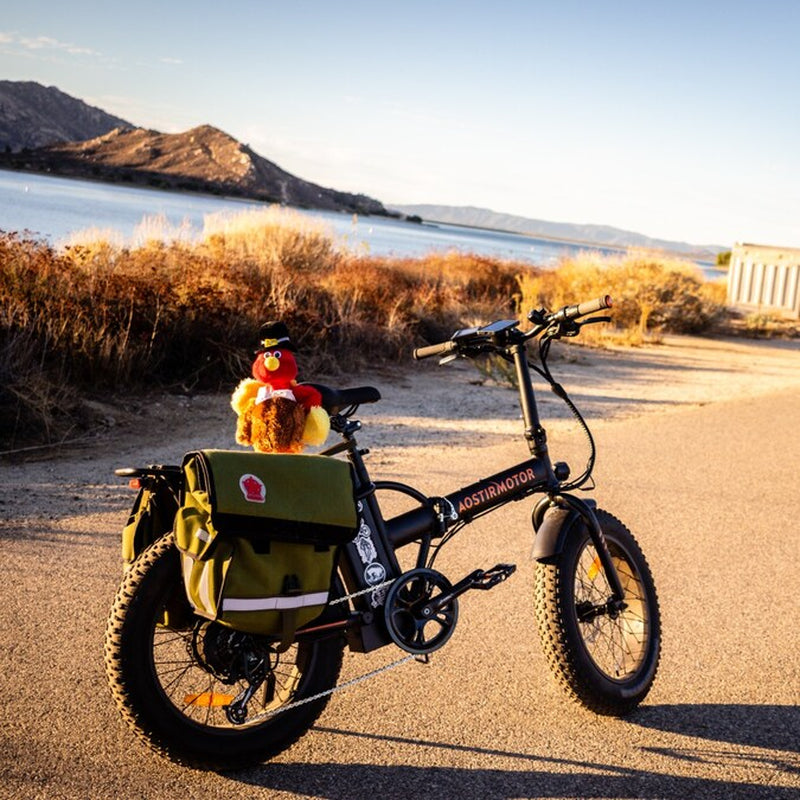 20-In Adult Unisex E-Bike