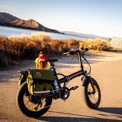 20-In Adult Unisex E-Bike