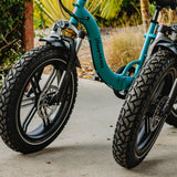 ALLSCAPE 20X4 Fat Tire for E-Bikes, Includes 2 Tires