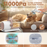 Dog Grooming Kit, 5 Grooming Tools, Pet Grooming Vacuum, Dog Clippers Kit, Low Noise, PG50