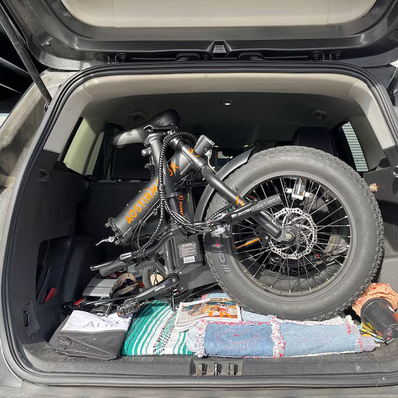 20-In Adult Unisex E-Bike