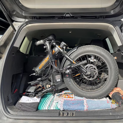 20-In Adult Unisex E-Bike