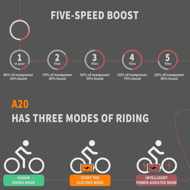 20-In Adult Unisex E-Bike