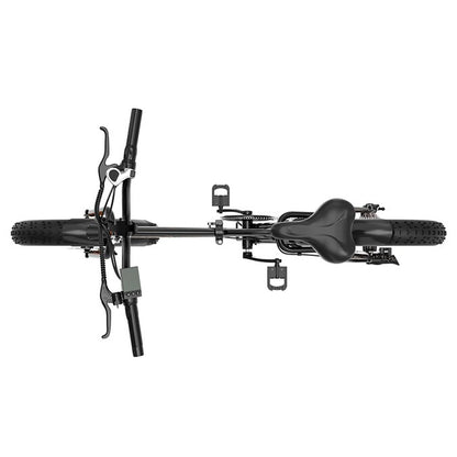 20-In Adult Unisex E-Bike