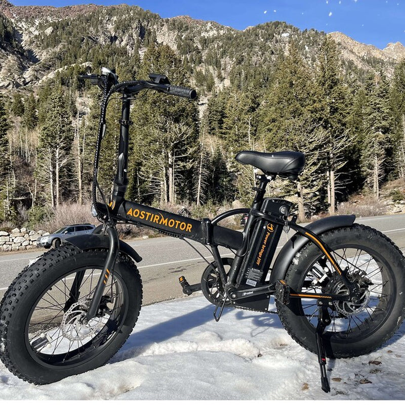 20-In Adult Unisex E-Bike