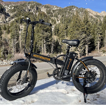 20-In Adult Unisex E-Bike