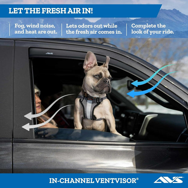 Auto Ventshade [AVS] In-Channel Rain Guards for 1999 - 2007 Mazda B3000; 1999 - 2009 Mazda B4000 Extended Cab; 1999 - 2011 Ford Ranger Supercab | Window Vent Visors, 2 Pcs. - Smoke | 192083