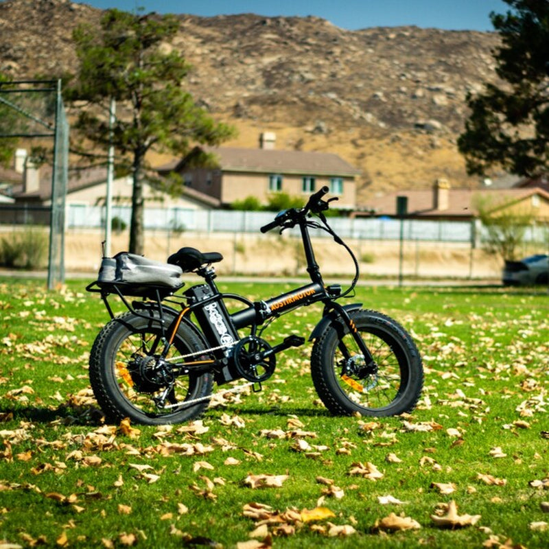 20-In Adult Unisex E-Bike