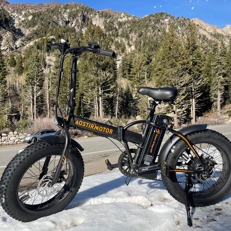 20-In Adult Unisex E-Bike