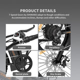 20-In Adult Unisex E-Bike